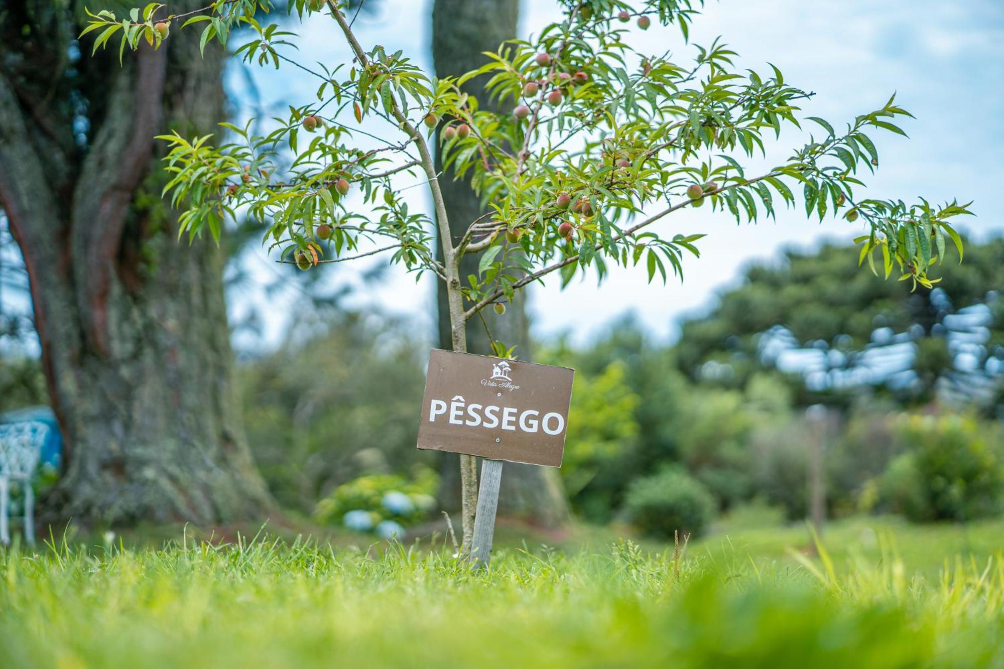 Rural Vista Alegre Bom Jardim da Serra