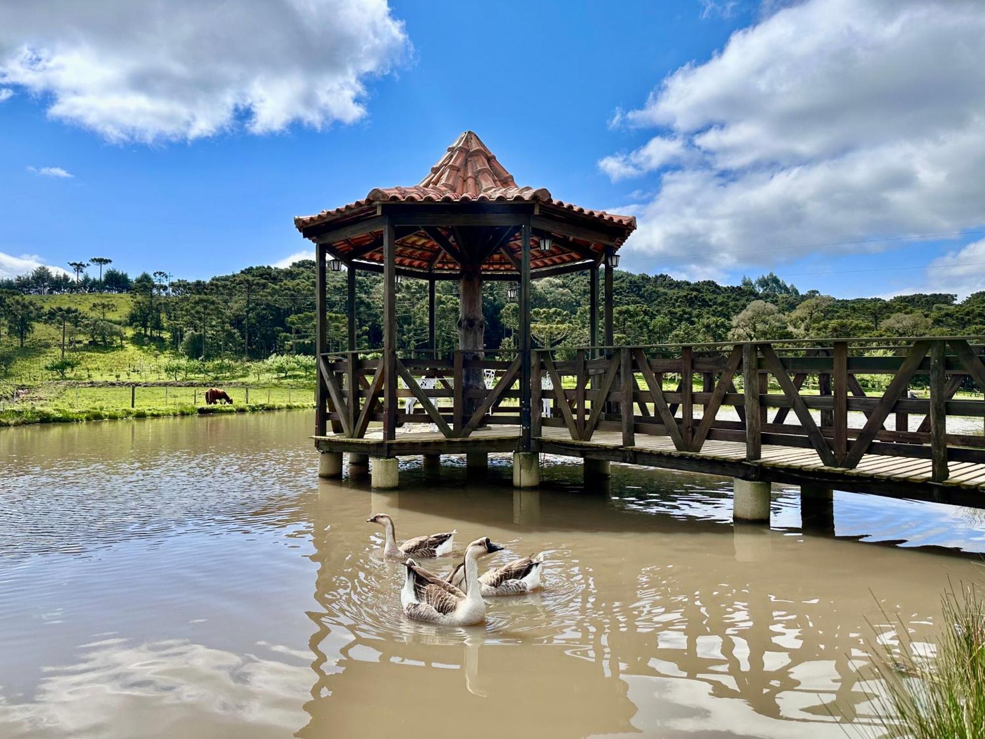 Rural Vista Alegre Inn Bom Jardim da Serra