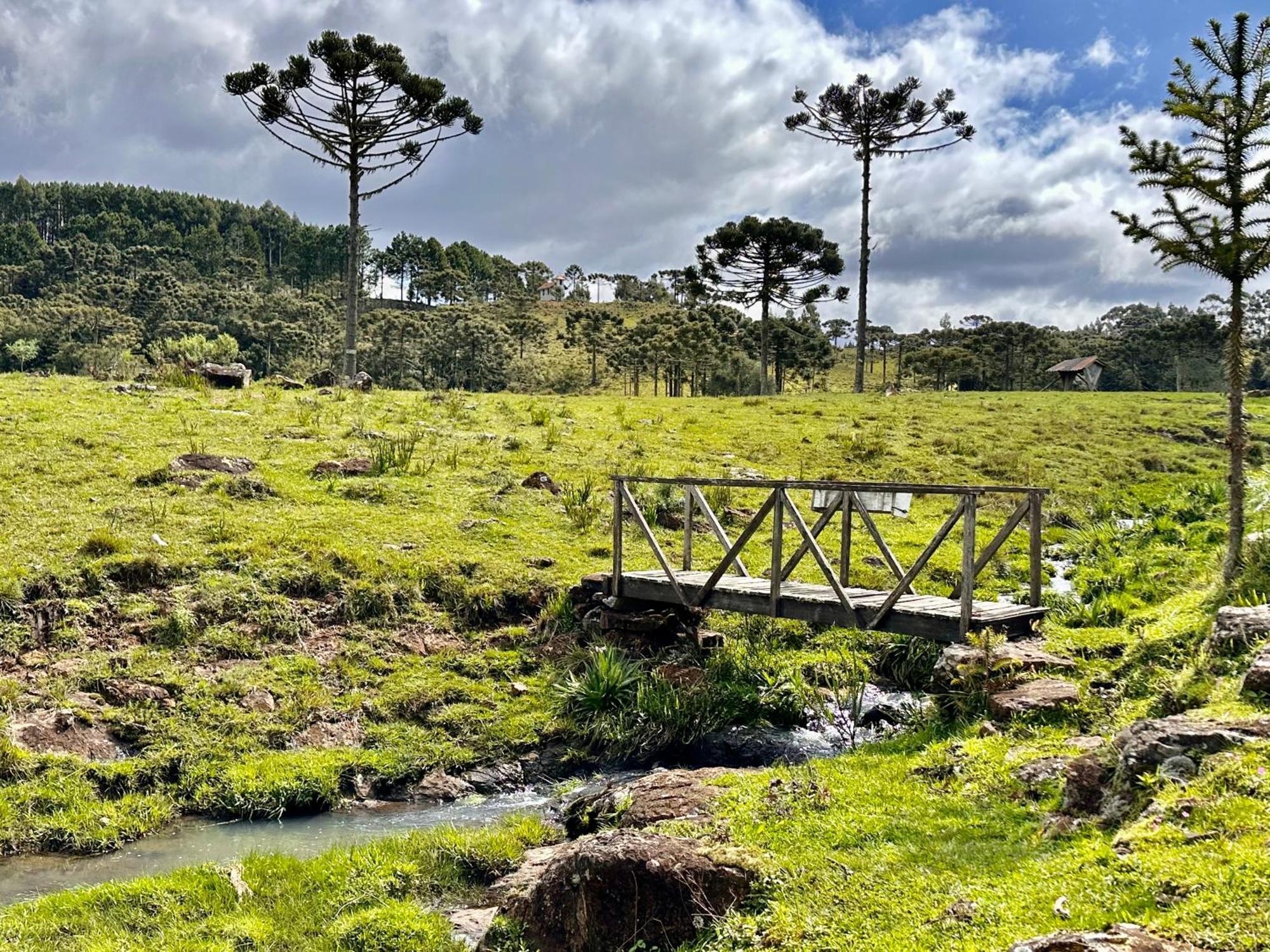 Rural Vista Alegre Inn Bom Jardim da Serra